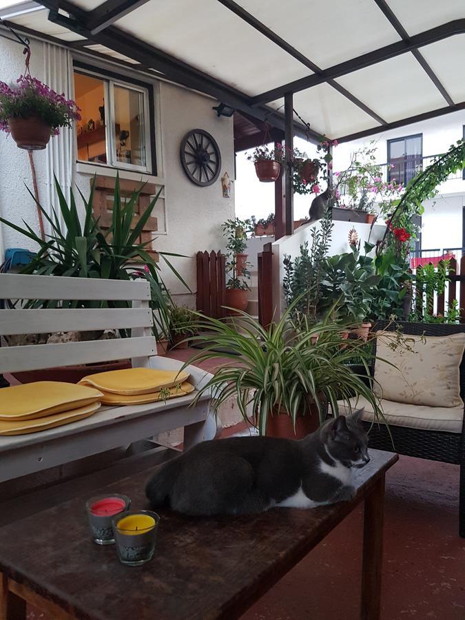 Ferienwohnung Estia Vasilis Manoli Agia Napa Exterior foto